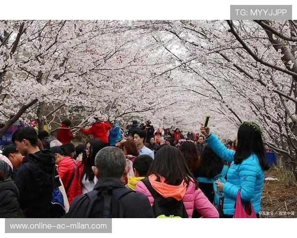 _赏樱盛会：樱花大道上的浪漫网球赛_，g1樱花赏