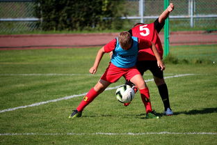 MILAN SPORTS-体育赛事志愿者管理及培训体系建设，体育赛事志愿者的工作要求